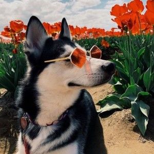 Meet your Posher, Margee